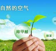 除甲醛對于住房安全和環境保護的作用有什么？