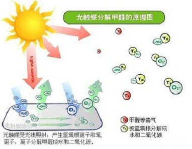 佛山除甲醛 佛山除甲醛