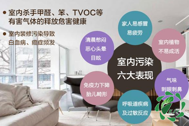 甲醛真可怕，貼壁紙竟然也會導致甲醛中毒