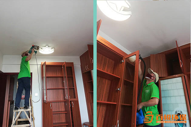 除甲醛植物匯總[哪些花除甲醛]佛山百悅環保分享